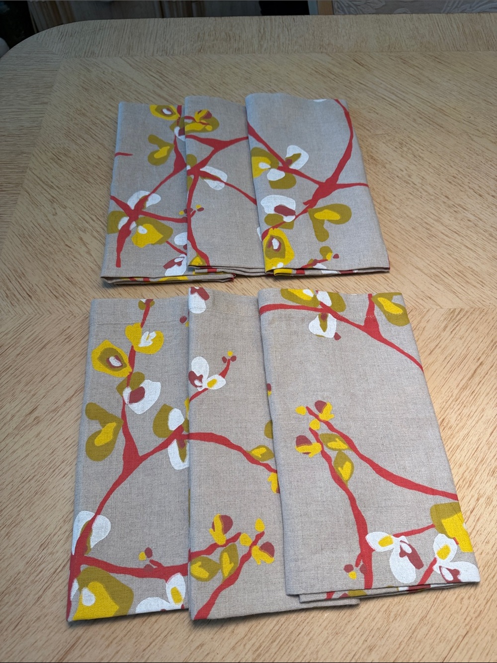 Crate & Barrel Camilla Napkin (6)